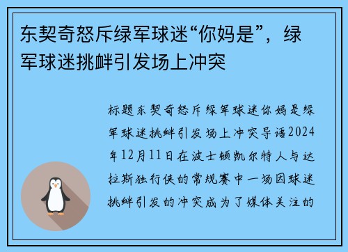 东契奇怒斥绿军球迷“你妈是”，绿军球迷挑衅引发场上冲突