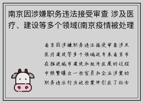 南京因涉嫌职务违法接受审查 涉及医疗、建设等多个领域(南京疫情被处理的干部)