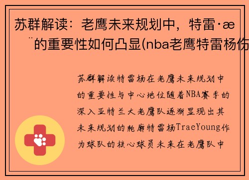 苏群解读：老鹰未来规划中，特雷·杨的重要性如何凸显(nba老鹰特雷杨伤情)