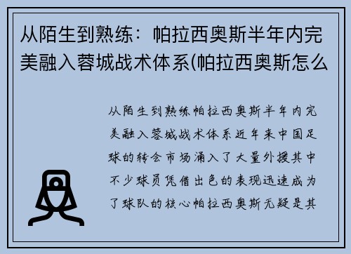 从陌生到熟练：帕拉西奥斯半年内完美融入蓉城战术体系(帕拉西奥斯怎么样)