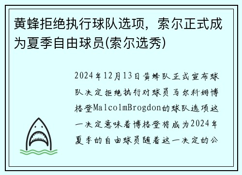 黄蜂拒绝执行球队选项，索尔正式成为夏季自由球员(索尔选秀)